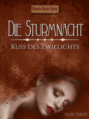 cover image of Die Sturmnacht